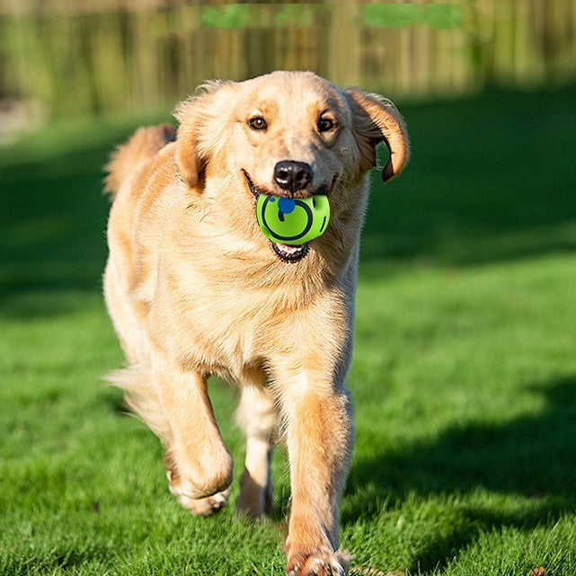 Bite-Resistant Anti-Stuffy Dog Chew Toy